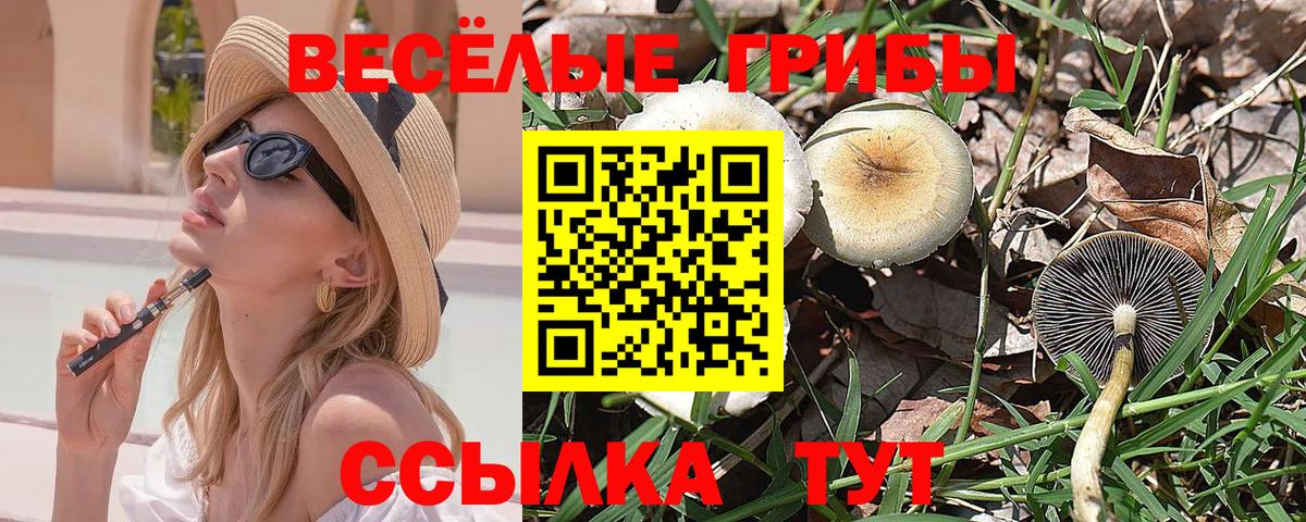 Качканар  сколько стоит  Галлюциногенные грибы GOLDEN TEACHER  Вход с VPN  Псилоцибиновые грибы Cubensis 