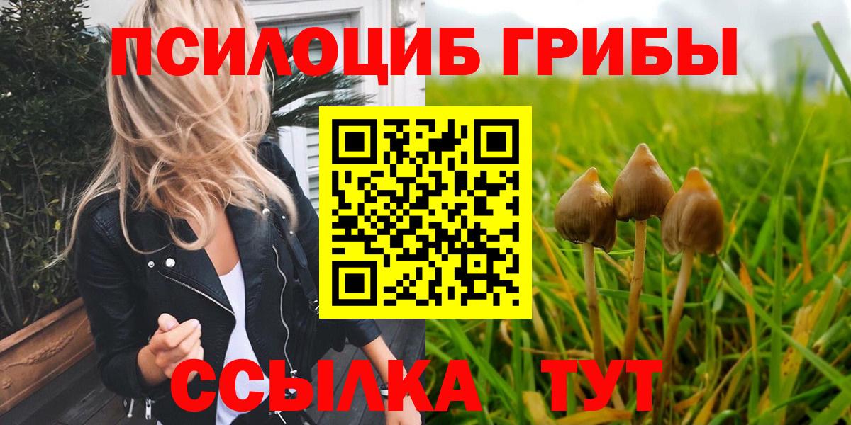 Псилоцибиновые грибы ЛСД Качканар